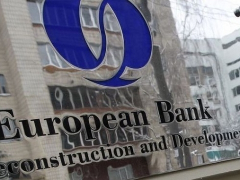 ЄБРР виділив 30 млн дол. на розвиток свинарства в Україні